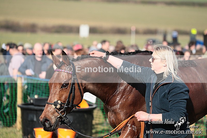 PtP 010325 131 - Beaufort Races Didmarton 01/03/25