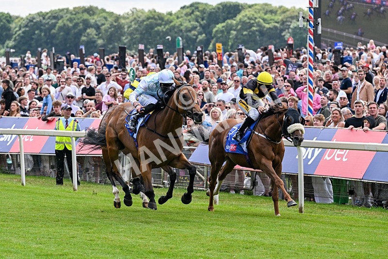 250726-Race 2-Stratusnine-6891 - Race 2 14.00pm Sky Bet Dash
