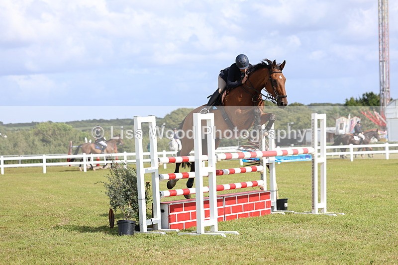 3E7A3519 - Class B: Showjumping Accumulator