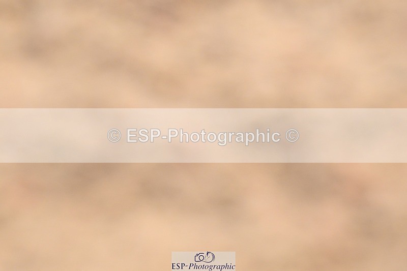 250621-110919-08163 - Cls 26 - Novice 5 Start to 12