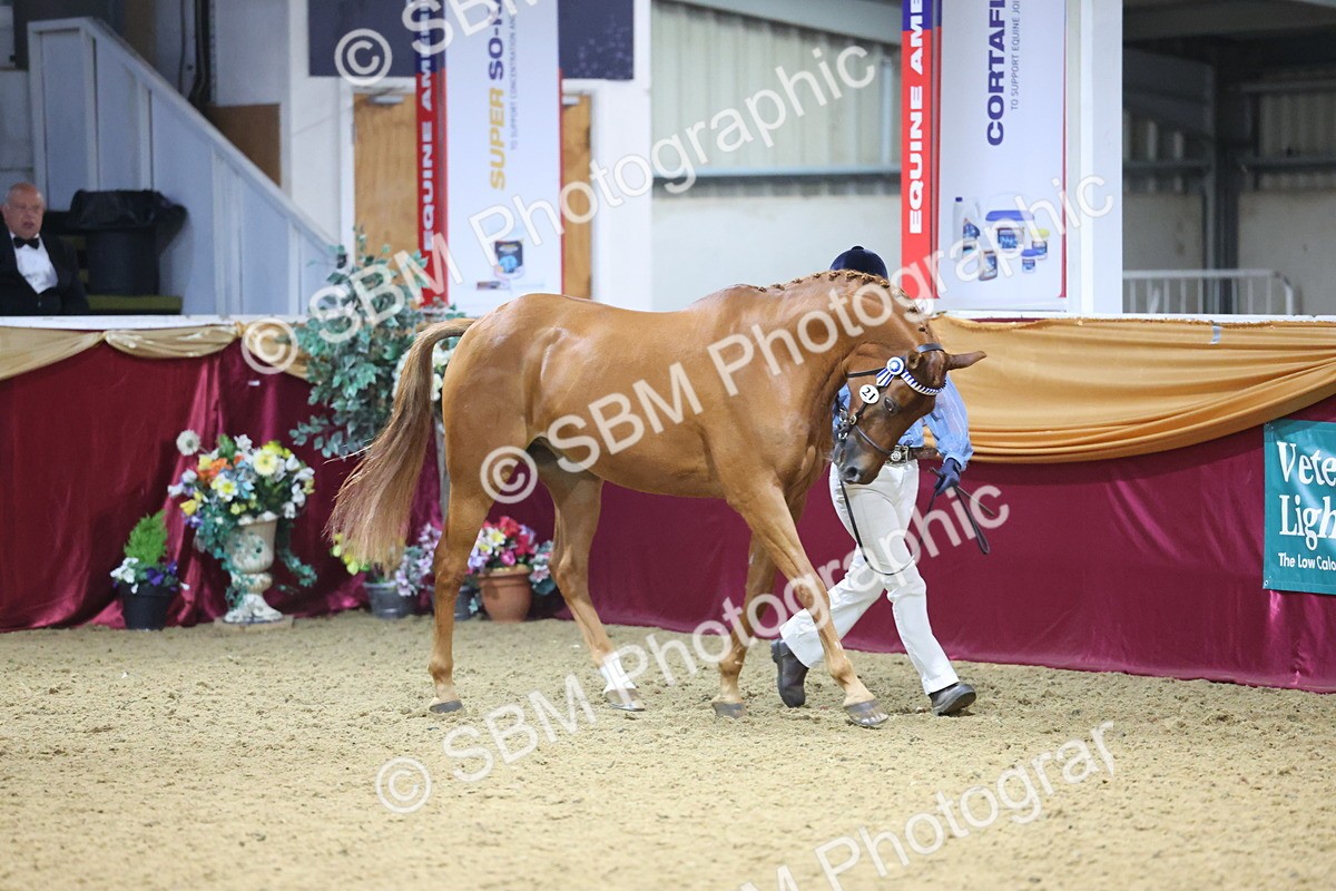 SBM_20974 - Class 902 - Supreme Final IH Veteran