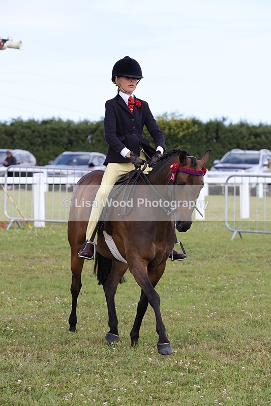 1X9A3900 - Class 31: Show Pony 148cm and under