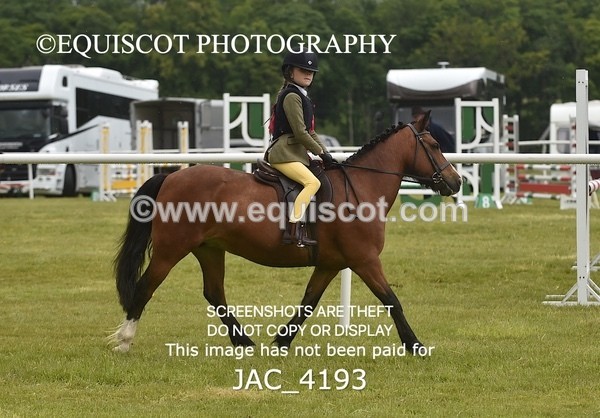 JAC_4193 - WORKING HUNTER CHAMPIONSHIP