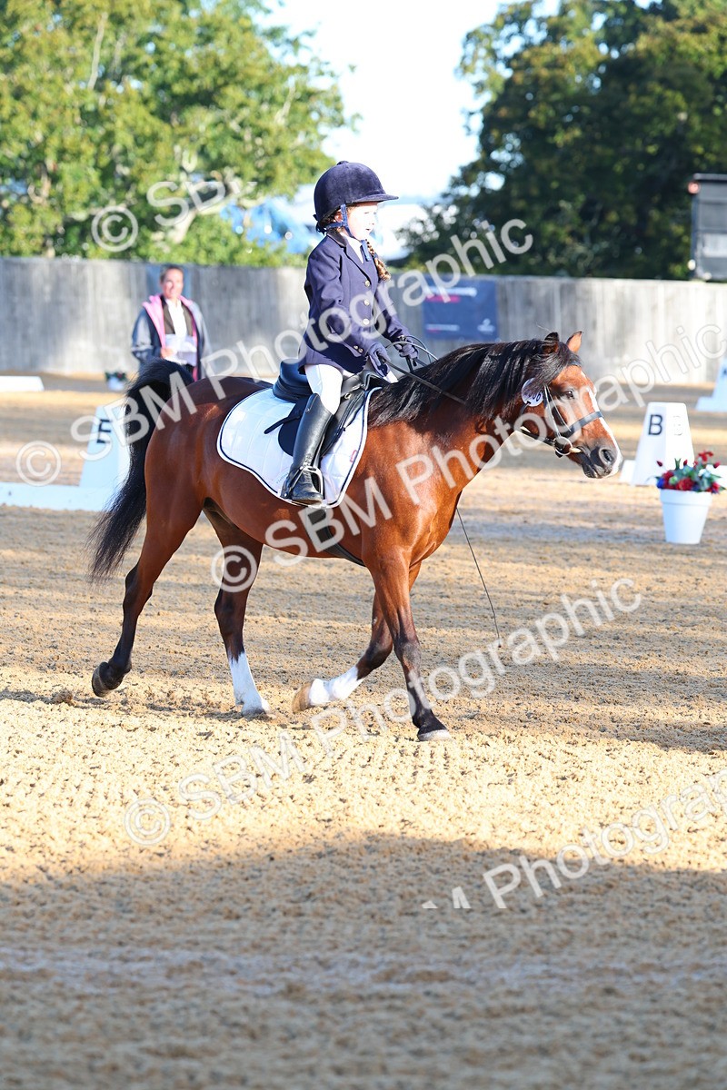 SBM_33502 - D26 - Test Starter Test 1