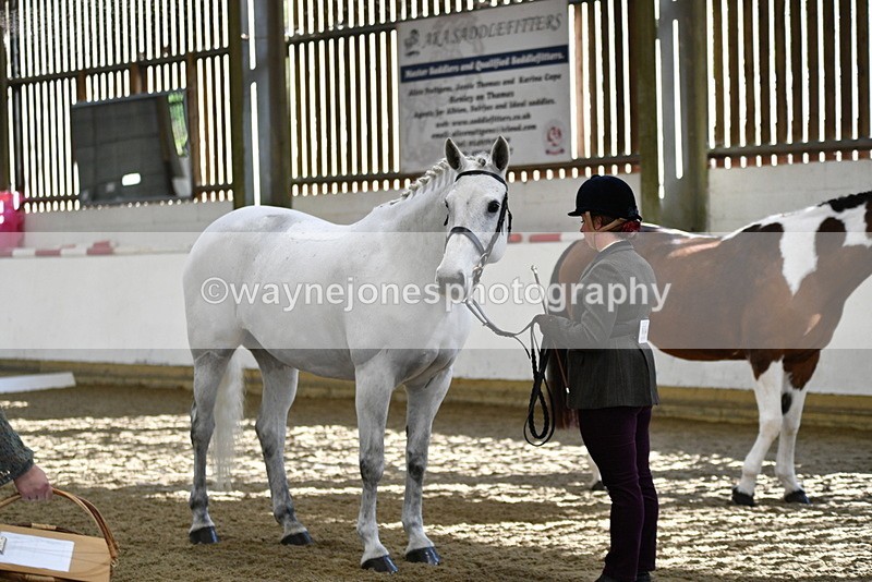 WJ5_4028 - Class 2 Best Condition In hand