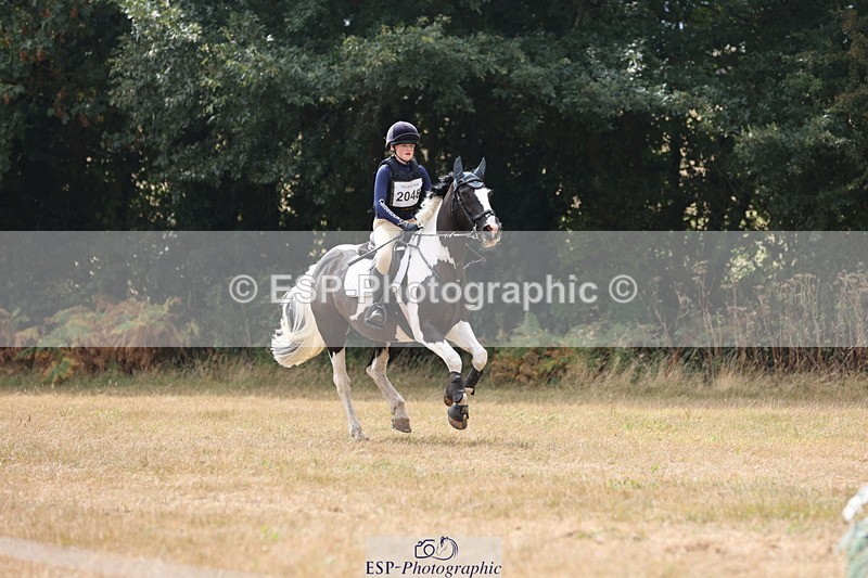 250824A-122925-36677 - 2048-Matilda.Trim-Mollie.IV