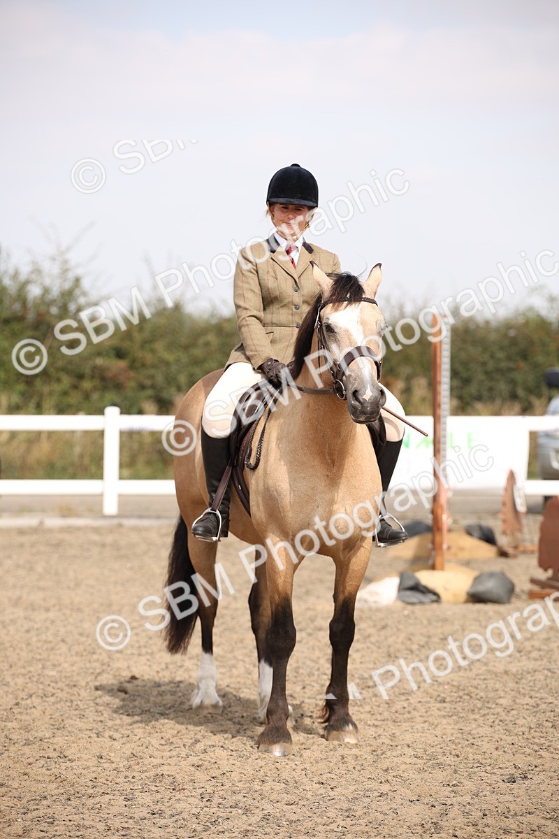 SBM_14229 - Class 407a - Working Veteran 60cm (15-19