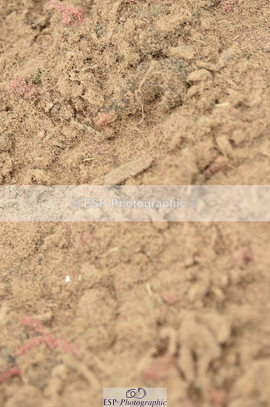 230611A-125128-05582 - Cls 34 1.05m Amateur Qualifier