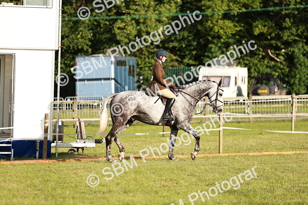 SBM_20428 - Class 117-119 - Sport Horse Working Hunter