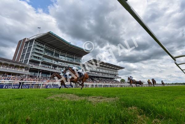 310525-Race 4-Scenic-3963 - Race 4 3.15pm William Hill Bronte Cup Fillies' Stakes