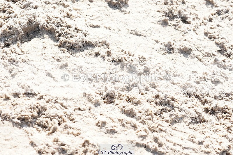 250420A-101846-00312 - Cls 02 70cm