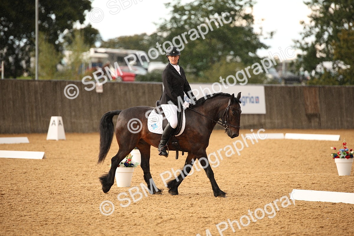 SBM_12397 - D3 Small  Tour Championship Intro A