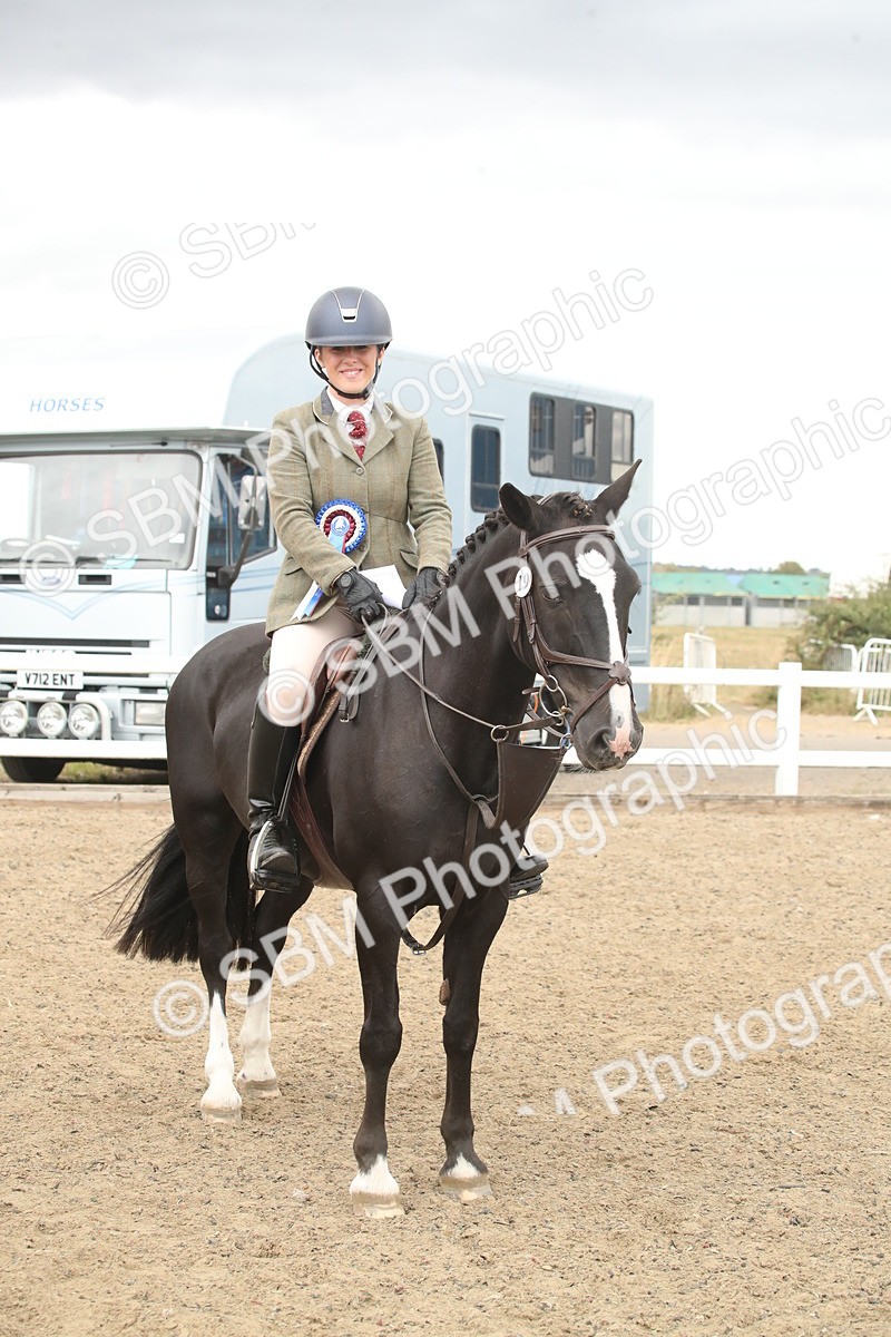 SBM_18473 - Class 510a - Working Veteran 90cm (15-19)