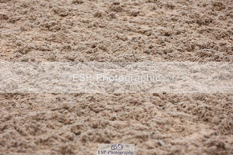 250314-123910-01936 - Cls 8+9 Foxhunter and 1.20m Open