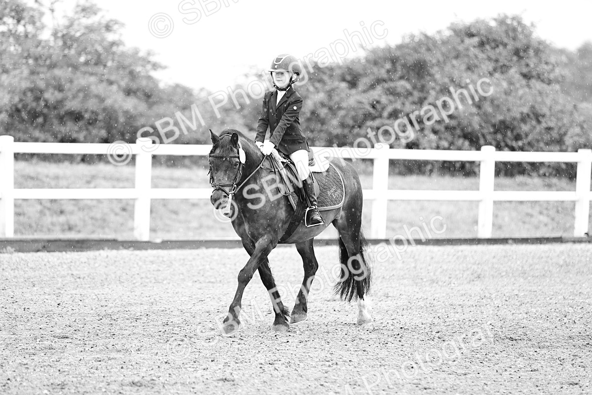 SBM_000078 - Class 1 - 40cm