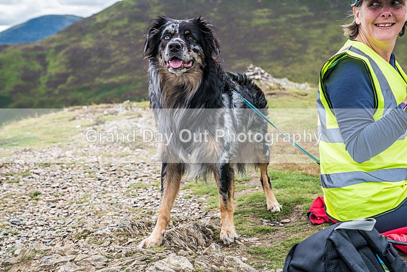 Barrow Fell-536 - Barrow Fell Race Monday 29yh August 2022