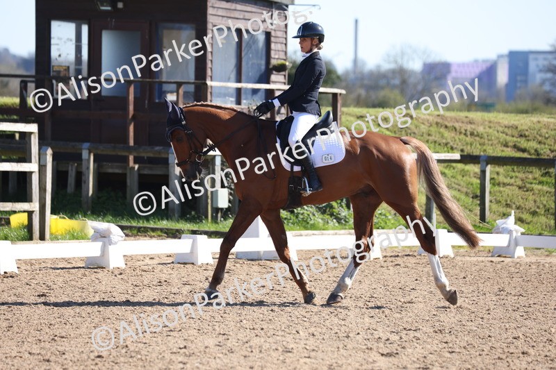 20260318-0630 - Class 6 - Novice 3