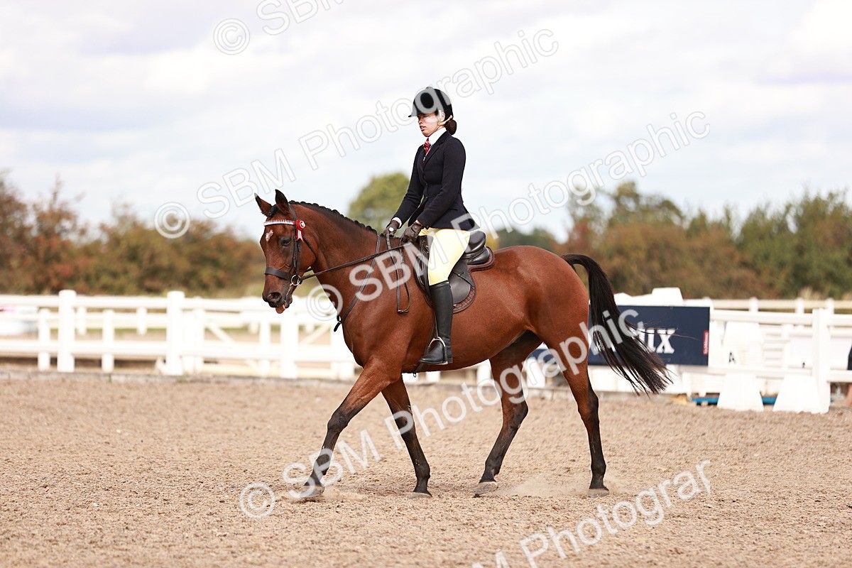 SBM_14310 - Class 408 - Grassroots Ridden -Walk & Trot
