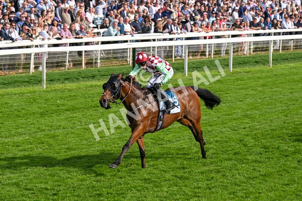 170524-Race 6-Riot-8524 - Race 6 4.45pm Yorkshire Equine Practice Handicap