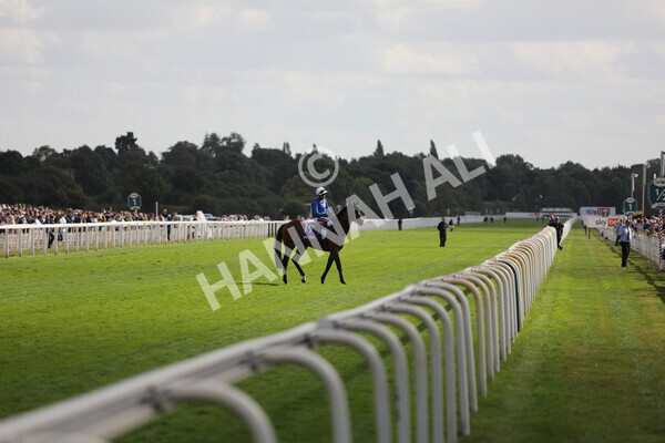 yr20082022r4-223 - Race 4 3.35pm Sky Bet Ebor