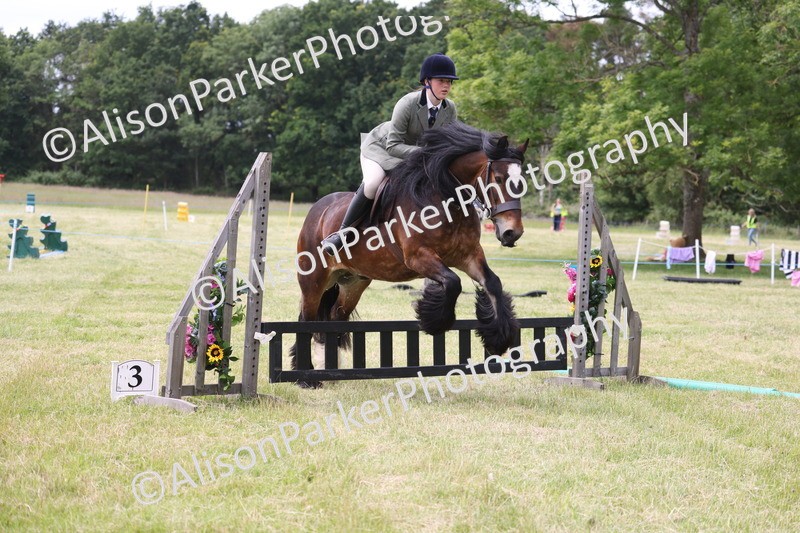 20260614-2922 - Class 22 - Open Working Hunter