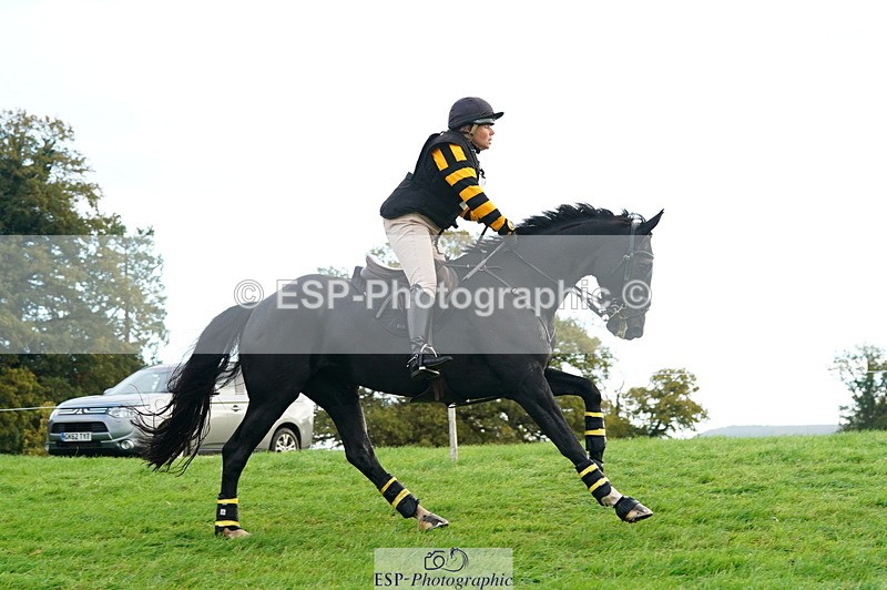 251025A-093116-15919 - D-315-Georgina.Marks