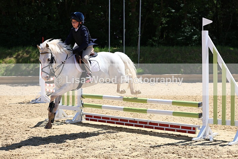 3E7A2355 - Class 4/5: 60cm Open Teams and Individuals