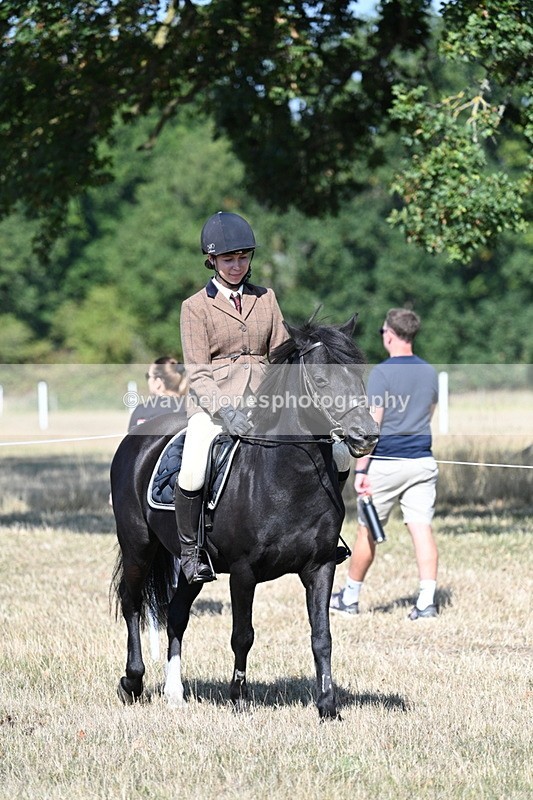 WJ7_3396 - Class 9 Mountain & Moorland Ridden