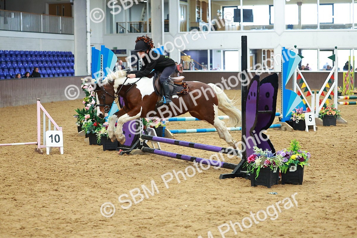 SBM_002517 - Class 3 - Horse & Hound (60cm)