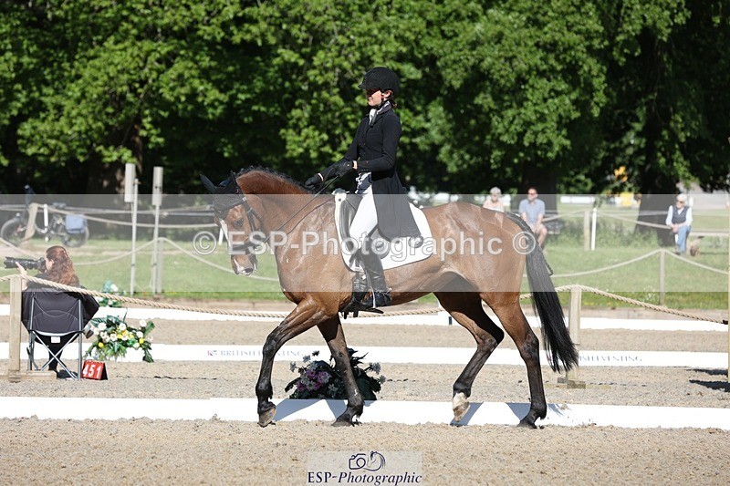 230526-090713-05003 - 352-TEQUILA_SUNRISE-Pippa_Taylor-WEDTrotUp+DR