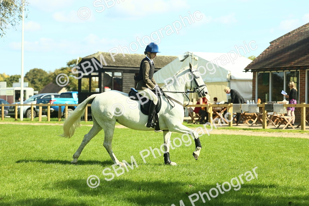 SBM_39269 - S29 - Novice & Newcomers Working Hunter Pony