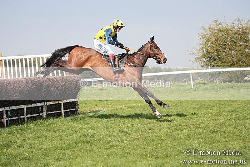 PtP 210418 451 - South & West Wilts Point-to-Point Larkhill 21/04/18