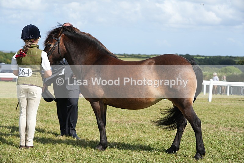 DSC07617 - Class 62: Child Handler
