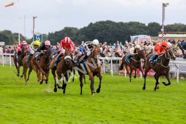 250823-Race 5-Reach-5904 - Race 5 4.10pm Assured Data Protection EBF Fillies' Handicap