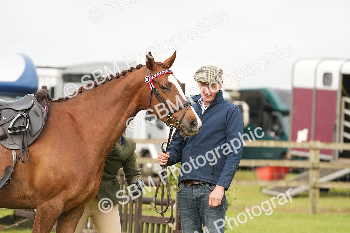 SBM_10634 - Class 97-98 - LIHS BSHA Rising Star Working Show Horse Hunter