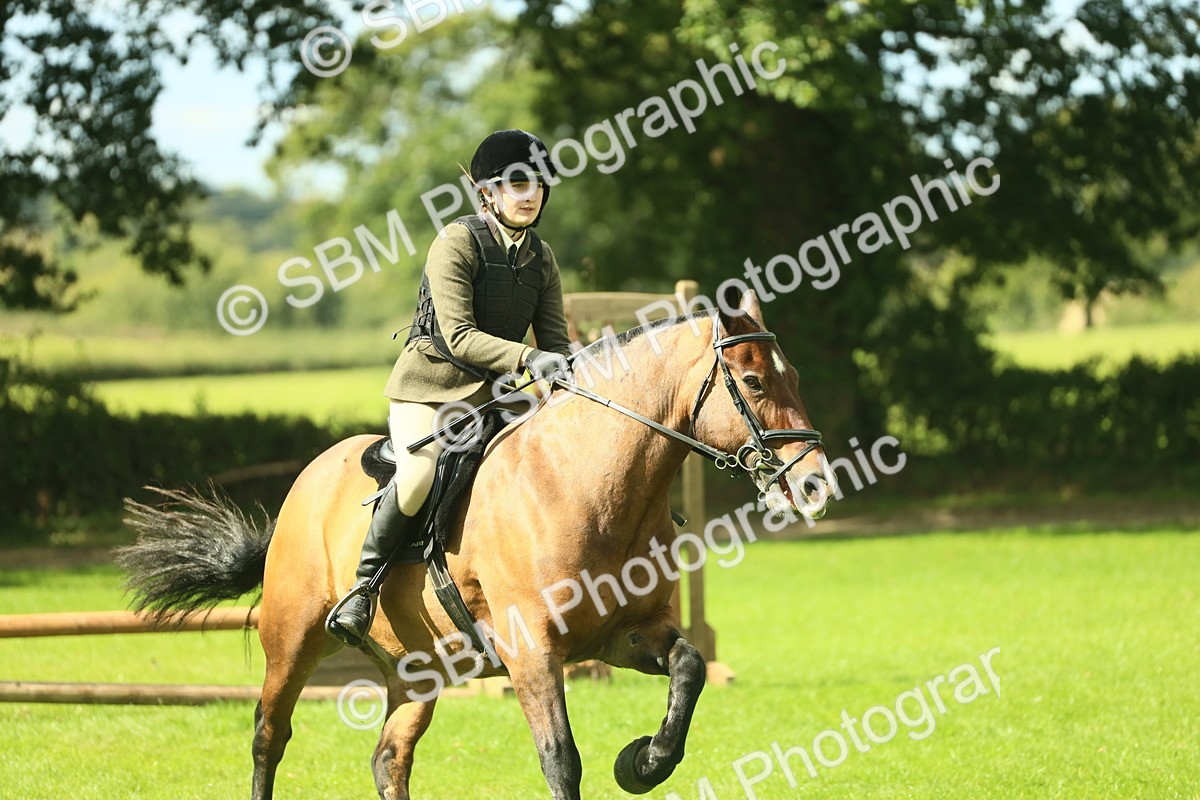 SBM_42104 - S29 - Novice & Newcomers Working Hunter Pony