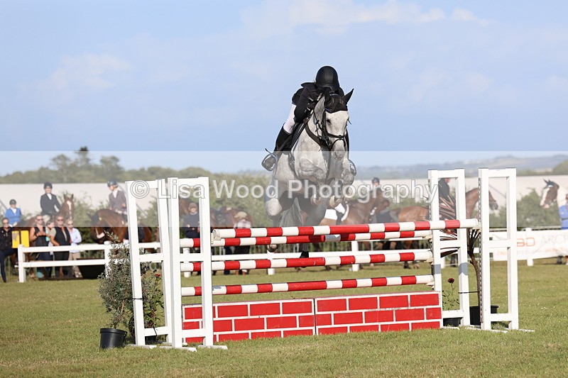 3E7A4488 - Class C: Showjumping Senior Foxhunter