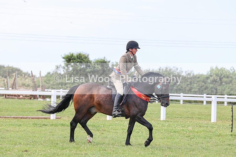 IMG_3759 - M & M Ridden Championship