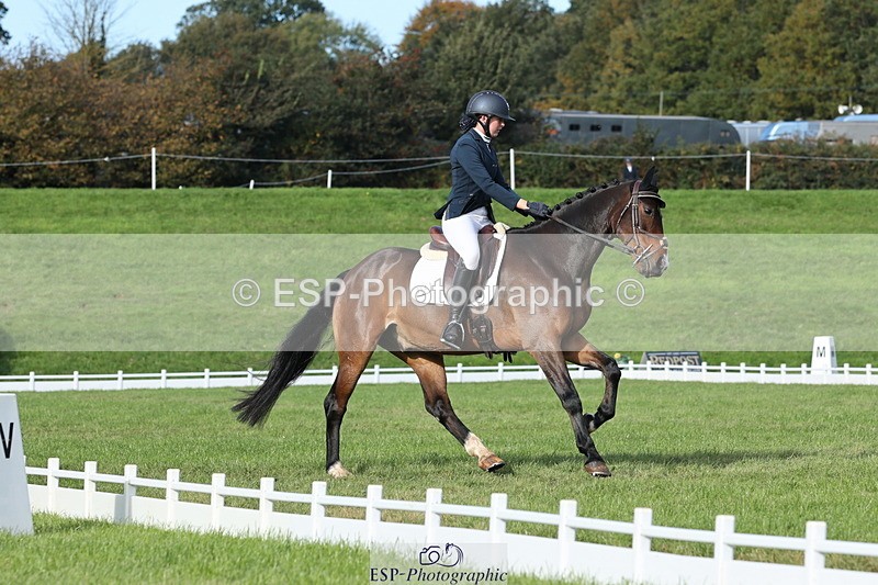 251024A-114053-10028 - D-354-Poppy.Burner