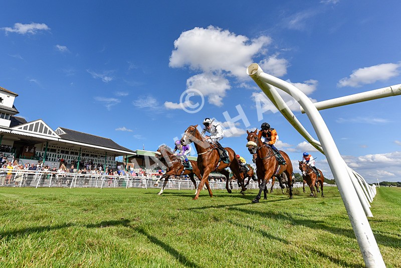 160725-Race 6-Bellarchi-7497 - Race 6