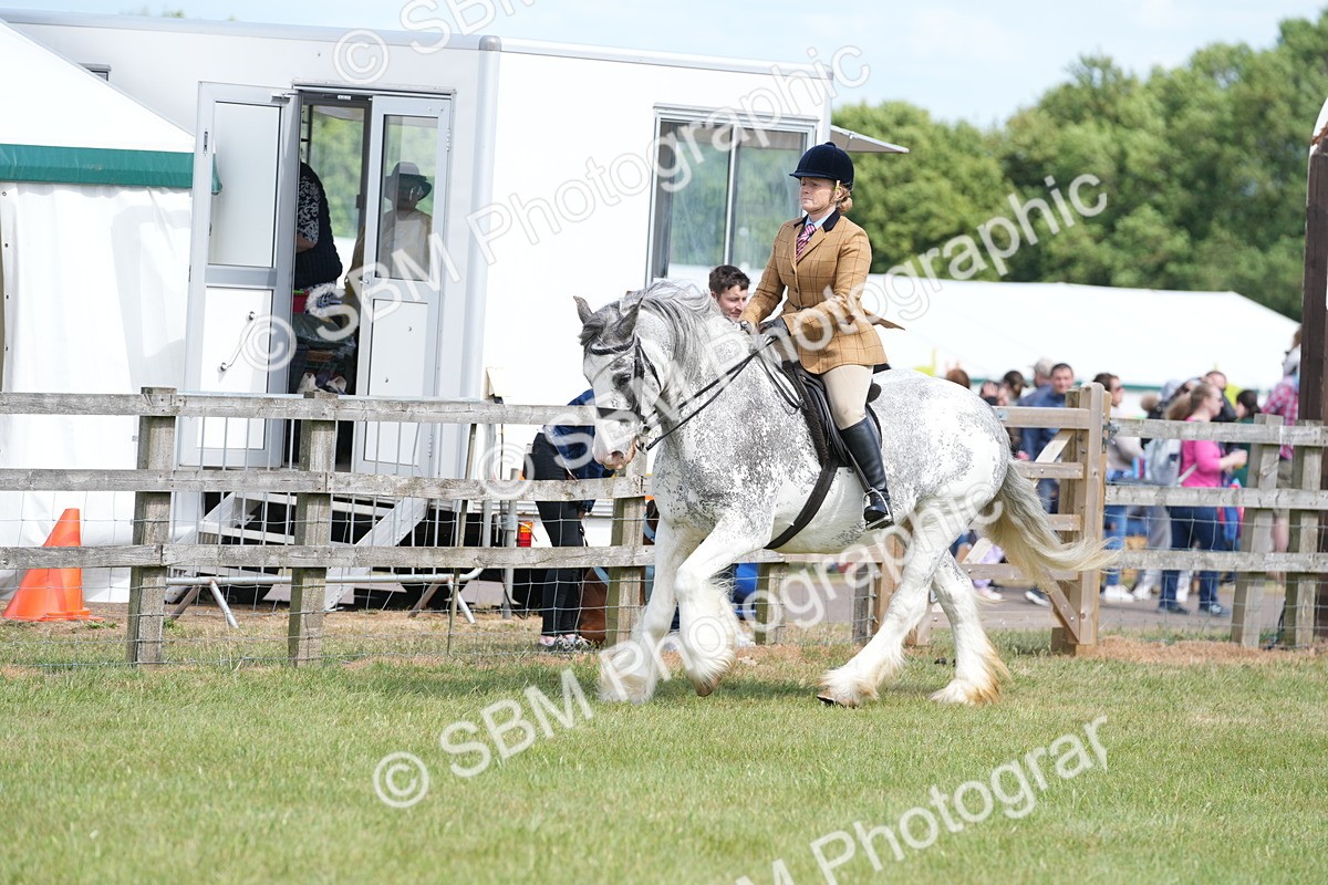 SBM_17148 - Class 107-108 - LIHS BSPS Performance Coloured Horse Pony