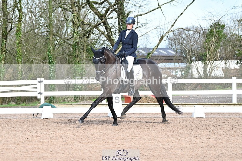 240218A-115624-06915 - 204-Elder.Klatzko-Dynasty.Hit