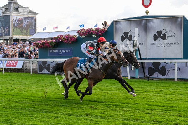 260724-Race 3-Elsies Ruan-4888 - Race 3 6.40pm Ire-Incentive, It Pays To Buy Irish EBF Restricted Novice Stakes