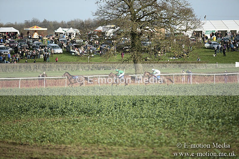 PtP 230319 496 - VWH Hunt Siddington Point-to-Point Racing 23/03/19
