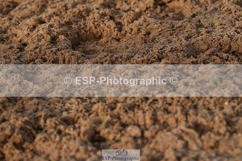 231104A-142056-02100 - Cls 13 Adv Medium 91