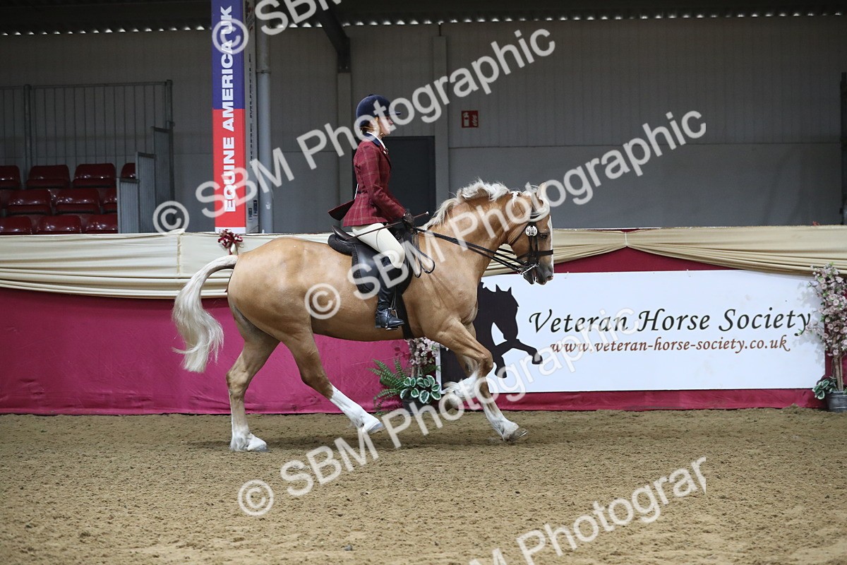 SBM_10365 - Class 102 Equitation (best rider) Adult