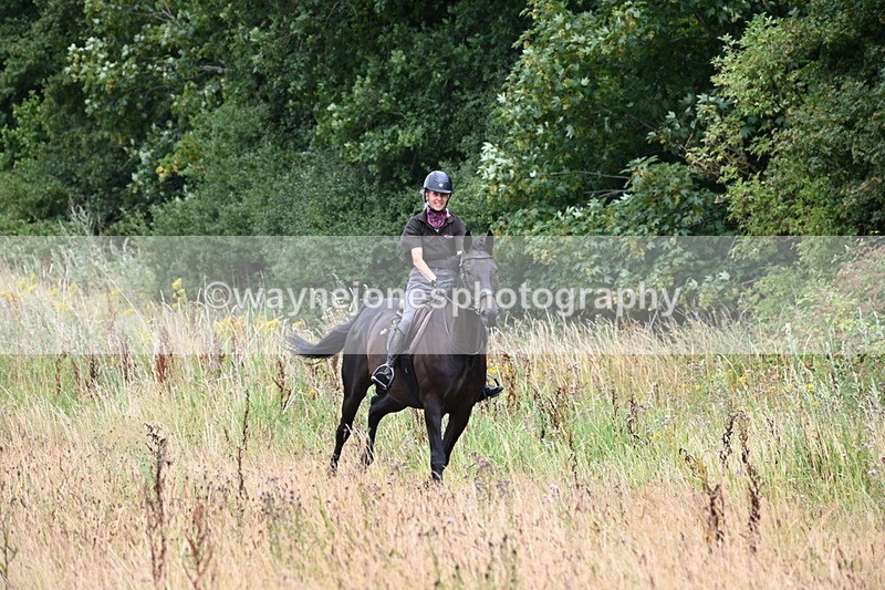 WJ6_2293 - Group 7