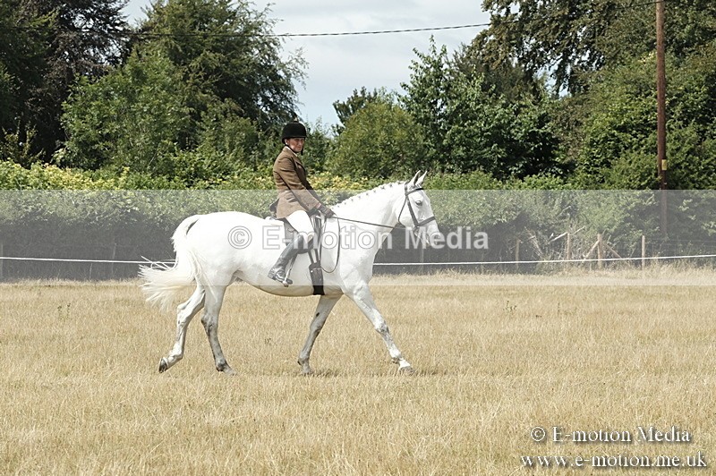 _PJP5998 - BVRC Show 2018 Ring 1