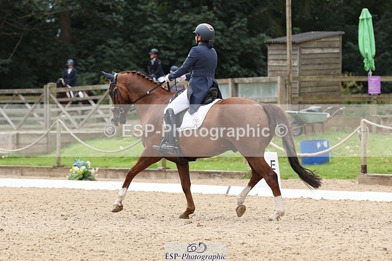 240810-140212-03423 - 110-Helen.Kitto-Da.Vinci.IV