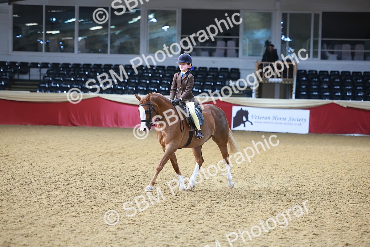 SBM_07700 - Class 101 - HOYS Veteran Qualifier - Ridden Diamond